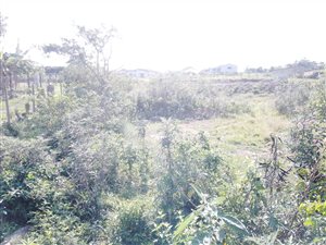 900 m² Land available in Adams Mission