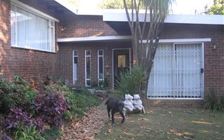3 Bedroom House in Hilton