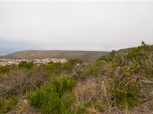 825 m² Land available in Island View