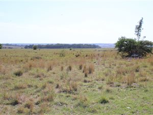 618 m² Land available in Rayton