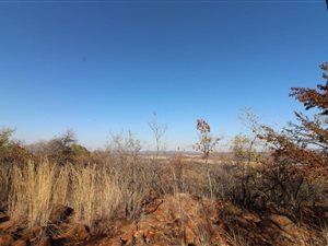 21.5 ha Farm in Modimole (Nylstroom)