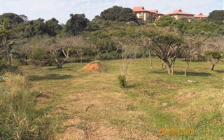 1821 m² Land available in Zinkwazi Beach