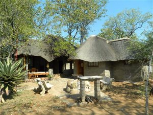 43 ha Farm in Tzaneen