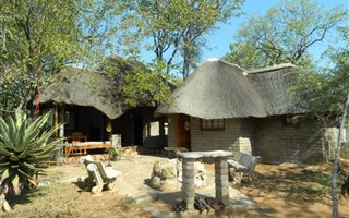 43 ha Farm in Tzaneen