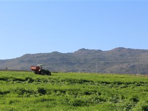 804 ha Farm in Malmesbury