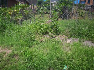 405 m² Land available in Moorton