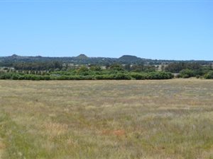52.2 ha Land available in Morgenzon