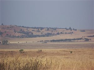 1.3 ha Land available in Walkerville