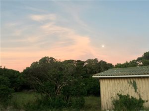 8246 m² Land available in Cape St Francis