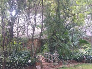 7 ha Farm in Leeuwfontein