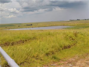 245 ha Farm in Bethal