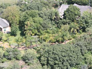 500 ha Farm in Modimolle