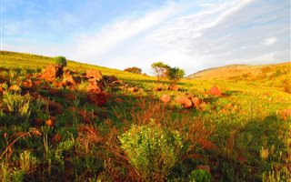 875 m² Land available in Dullstroom