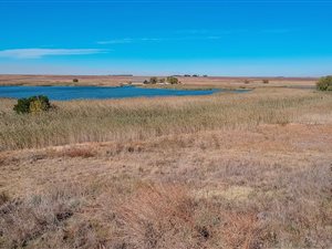 1029 m² Land available in Bronkhorstbaai