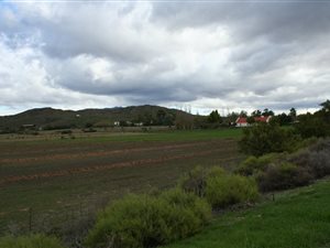 86 ha Farm in Ladismith