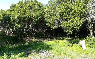 700 m² Land available in Kleinbaai
