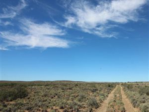 6304 ha Farm in Brandvlei