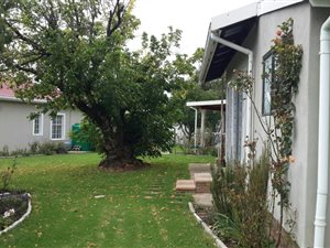 6 Bed House in Matatiele