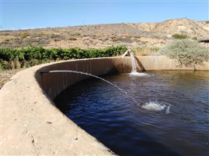 11 ha Farm in Klawer