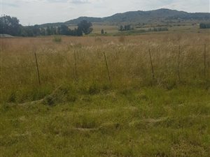 Commercial space in Strydfontein and surrounds