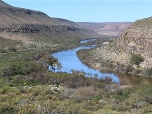 532 ha Farm in Clanwilliam
