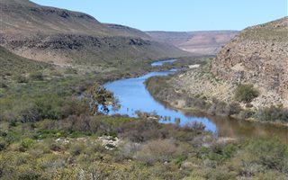 532 ha Farm in Clanwilliam