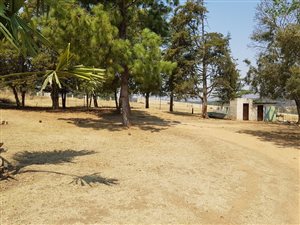 8.9 ha Farm in Rietfontein