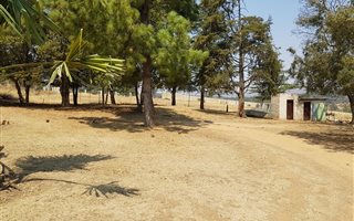 8.9 ha Farm in Rietfontein