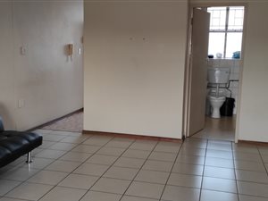Bachelor apartment in Arcadia