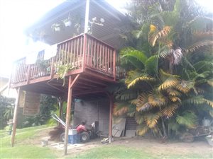 3 Bed House in Yellowwood Park