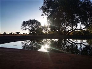 9.3 ha Farm in Bela-Bela (Warmbaths)