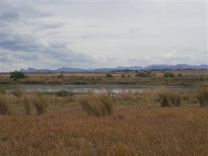 489 ha Farm in Alma