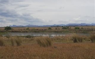489 ha Farm in Alma
