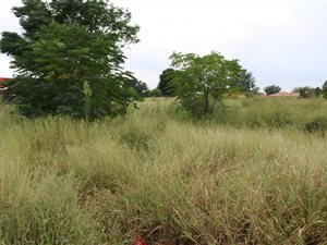 1040 m² Land available in Kookrus