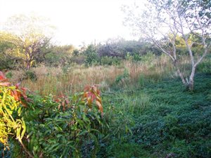 1058 m² Land available in Margate