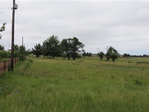2855 m² Land available in Belfast