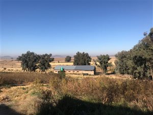 188 ha Farm in Ladybrand
