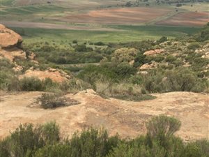 188 ha Farm in Ladybrand