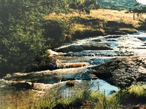 136 ha Farm in Dullstroom
