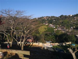 3 Bedroom House in Sunningdale