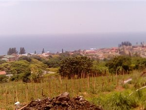 12.1 ha Land available in Verulam