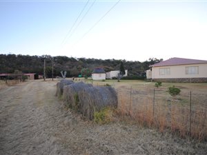 183 ha Farm in Middelburg