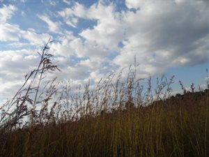 713 m² Land available in Lydenburg