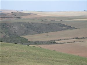574 ha Farm in Heidelberg