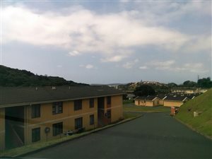 3 Bed Apartment in Woodhaven