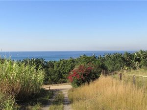 2023 m² Land available in Oslo Beach
