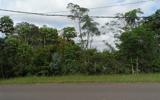 6226 m² Land available in Crestview