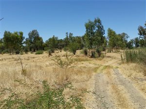 208 ha Farm in Douglas