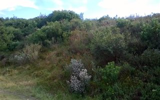840 m² Land available in Sedgefield