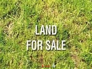 1240 m² Land available in Carletonville